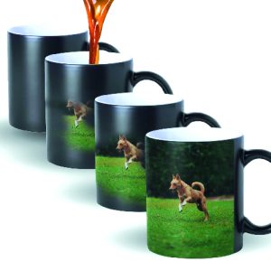 Botellas y tazas